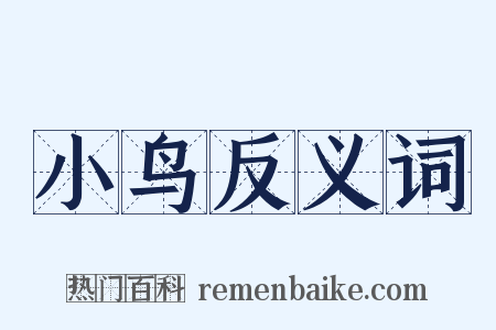 小鸟反义词是什么意思的图片